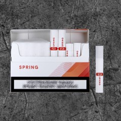 Stick Fiit Spring for Lil Solid (стики Фит Спринг для Лил Солид и Айкос)